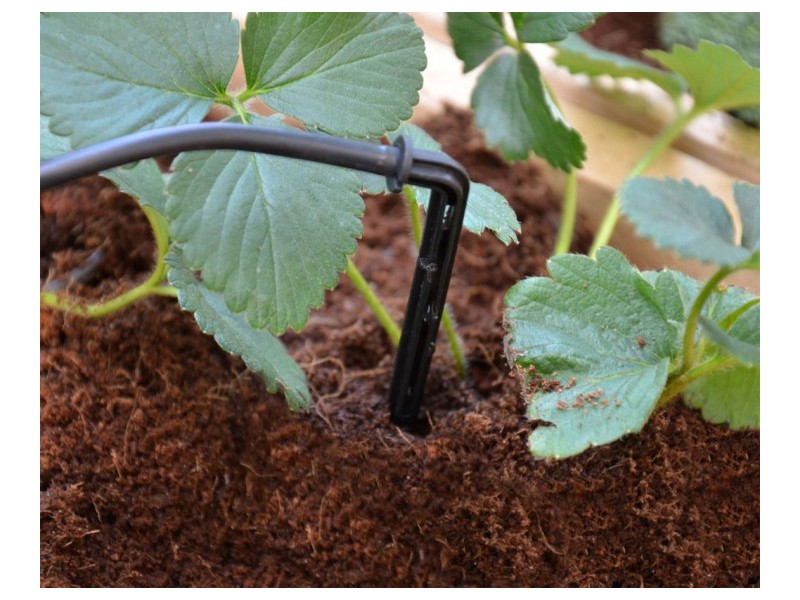 Tropf-Bewässerung-Set