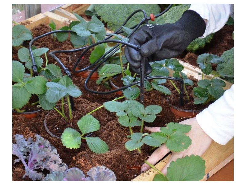 Tropf-Bewässerung-Set