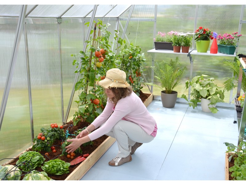 Essence 244 x 367 cm