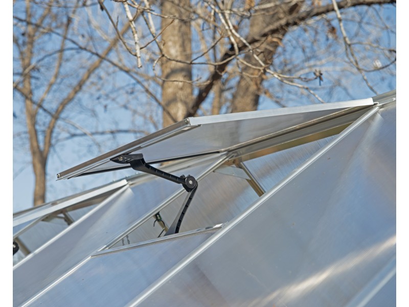 Essence 244 x 367 cm