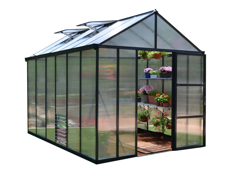 Glory 244,5 x 364 cm