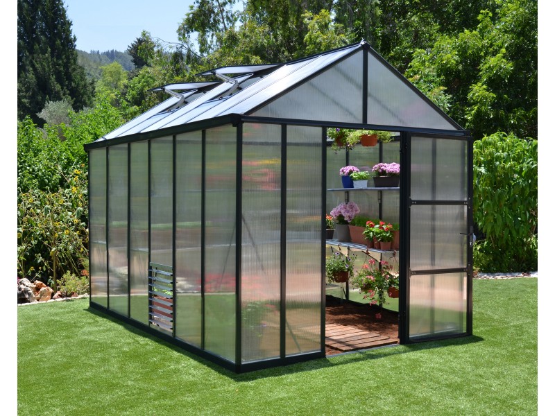 Glory 244,5 x 364 cm