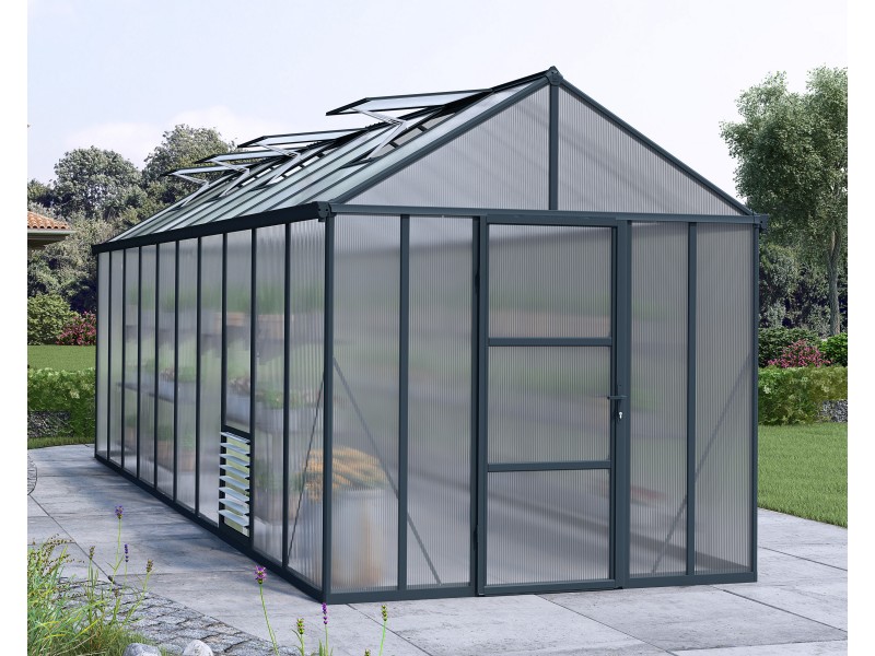 Glory 244,5 x 603 cm