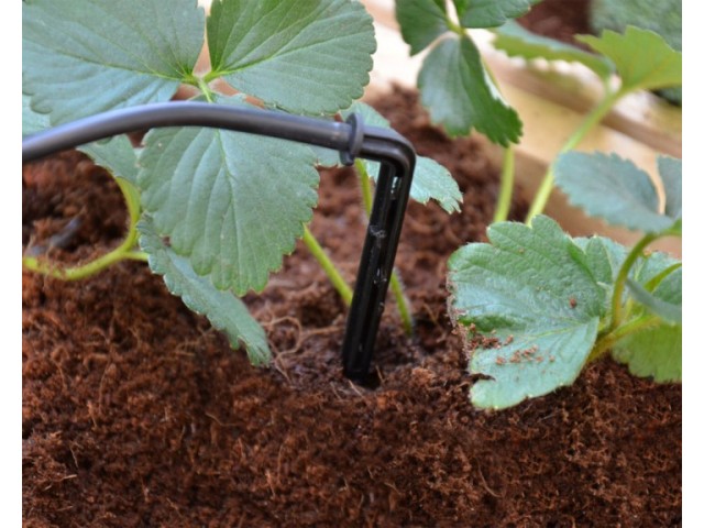 Tropf-Bewässerung-Set