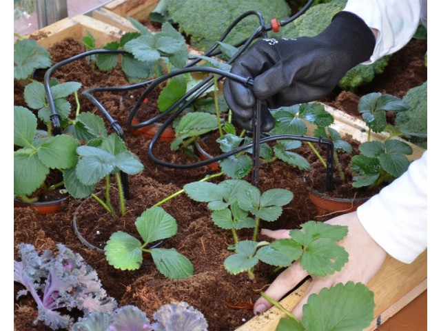 Tropf-Bewässerung-Set