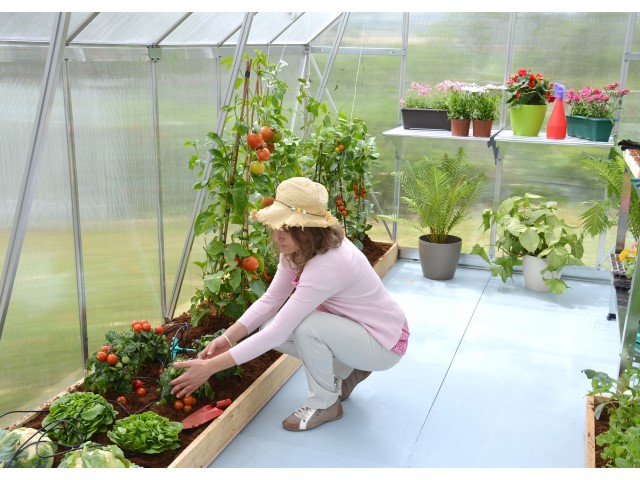 Essence 244 x 367 cm