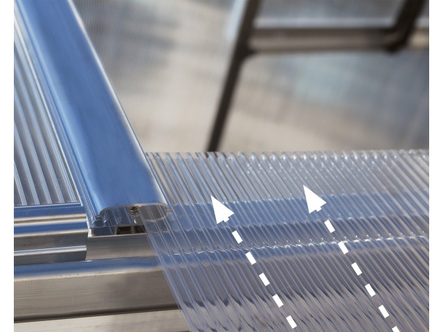 Essence 244 x 367 cm